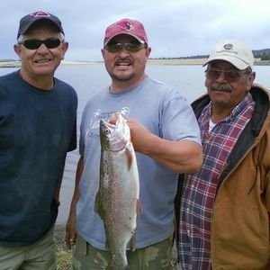 Meet your Posher, Benjamin